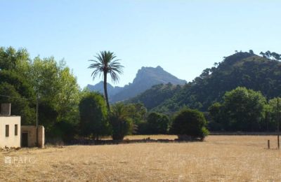 Herrenhaus/Gutshaus kaufen Mallorca, Serra de Tramuntana, Cala Sant Vicenç, Balearische Inseln, Foto 11/14