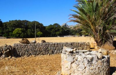 Herrenhaus/Gutshaus kaufen Mallorca, Serra de Tramuntana, Cala Sant Vicenç, Balearische Inseln, Foto 12/14