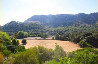 Herrenhaus/Gutshaus kaufen Mallorca, Serra de Tramuntana, Cala Sant Vicenç, Balearische Inseln, Foto 8/14