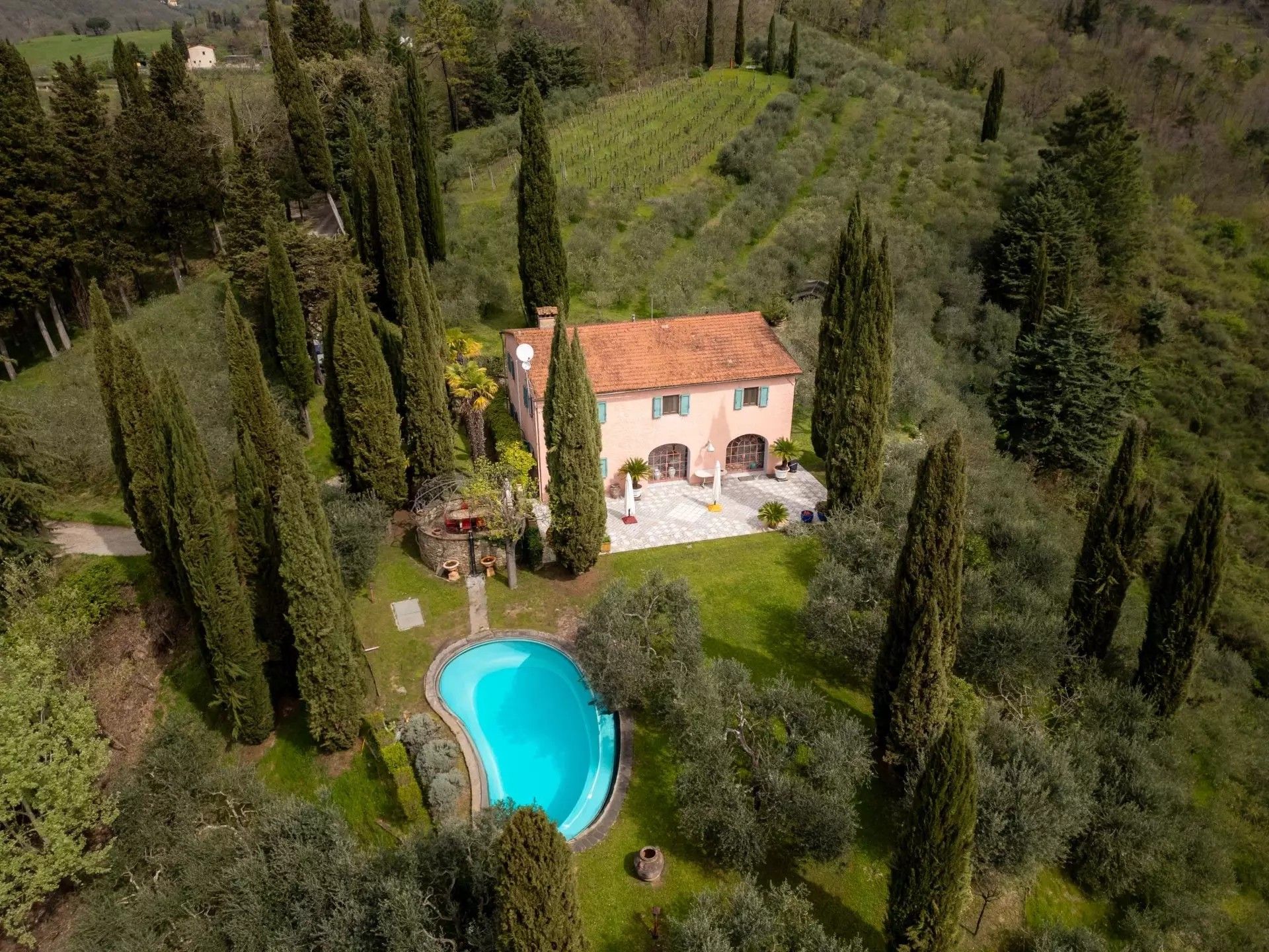 Fotos Mugello: Renoviertes Bauernhaus mit Weinberg nördlich von Florenz