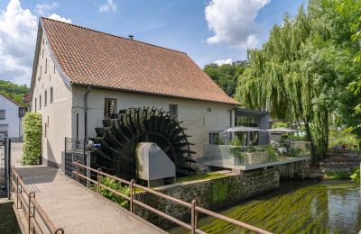 Mühle kaufen 3770 Kanne, Flandern, Foto 5/24