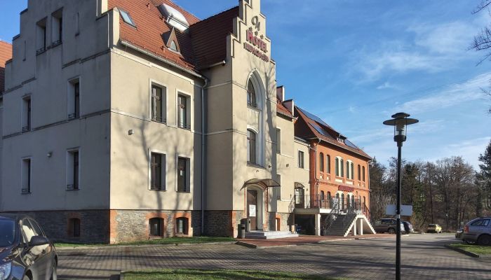 Historische Immobilie Niemcza 2