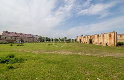 Schloss kaufen Kounice, Zámek Kounice, Středočeský kraj, Zámek Kounice 2024