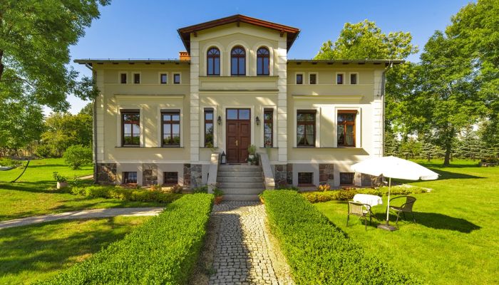 Herrenhaus/Gutshaus Czekanowo, Großpolen