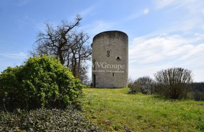 Schloss kaufen Monflanquin, Neu-Aquitanien, Turm