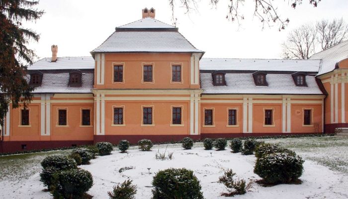 Herrenhaus/Gutshaus Trávnica 1