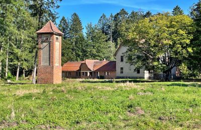 Landhaus kaufen Zegrze Pomorskie, Westpommern, Foto 6/7