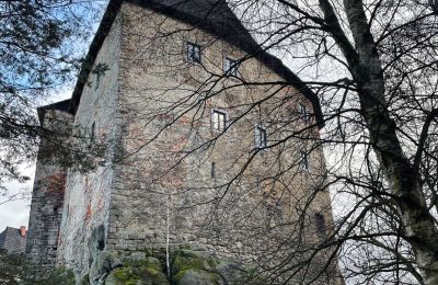 Burg kaufen Karlovarský kraj, Foto 28/31