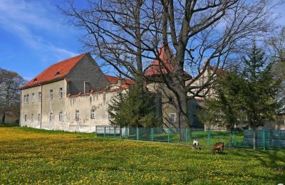 Schloss kaufen Bielawa, Wolności 92, Niederschlesien, Foto 4/7