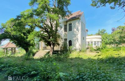 Historische Villa kaufen 99510 Apolda, Lessingstraße 62, Thüringen, Grundstück