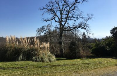 Schloss kaufen Pau, Neu-Aquitanien, Park