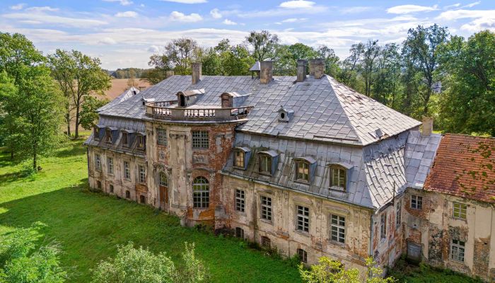 Schloss kaufen Minkowskie, Oppeln,  Polen