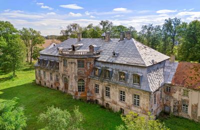 Schloss Minkowskie, Oppeln