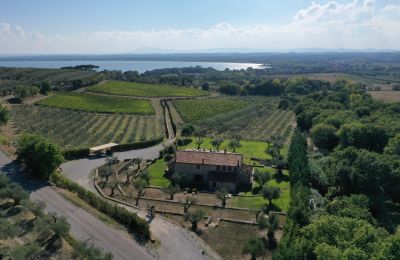 Bauernhaus kaufen 06069 Tuoro sul Trasimeno, Umbrien, Foto 2/23