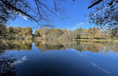 Herrenhaus/Gutshaus kaufen Eauze, Okzitanien, Teich/See