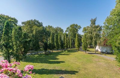 Schloss kaufen Mgowo, Kujawien-Pommern, Park