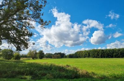 Herrenhaus/Gutshaus kaufen 18461 Grenzin, Mecklenburg-Vorpommern, Landschaft