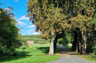 Herrenhaus/Gutshaus kaufen 18461 Grenzin, Mecklenburg-Vorpommern, Blick zum Dorf