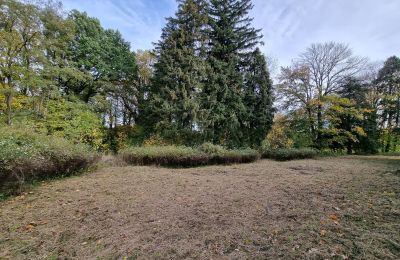 Schloss kaufen Grabiszyce Średnie, Niederschlesien, Park