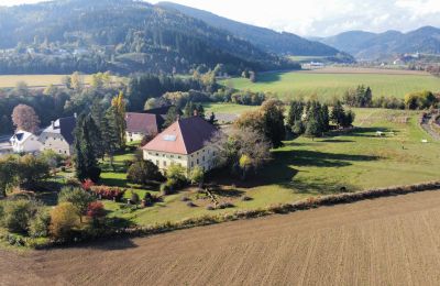 Herrenhaus/Gutshaus kaufen Kärnten, Drohnenfoto