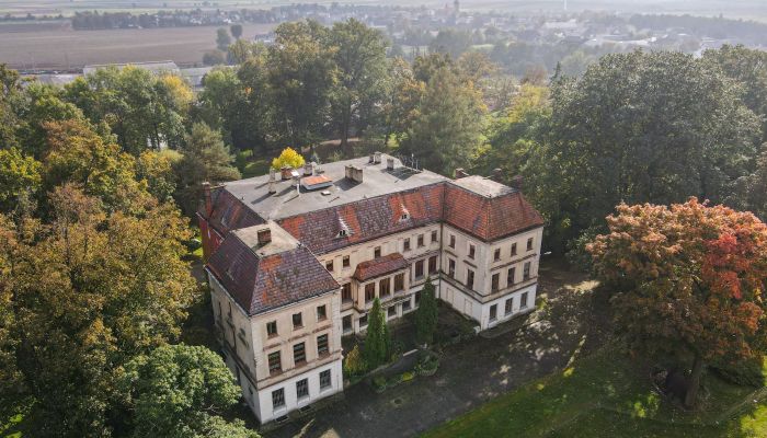 Schloss Wojnowice 1