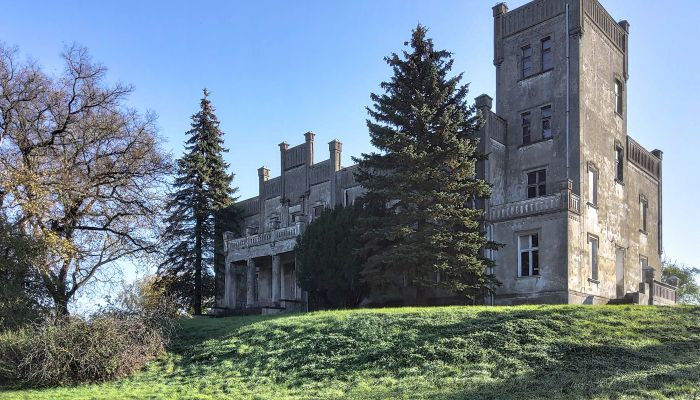 Schloss Górki Dąbskie 1