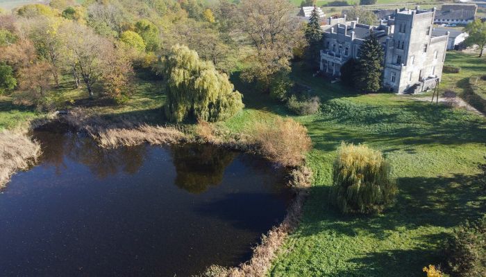 Schloss Górki Dąbskie 3