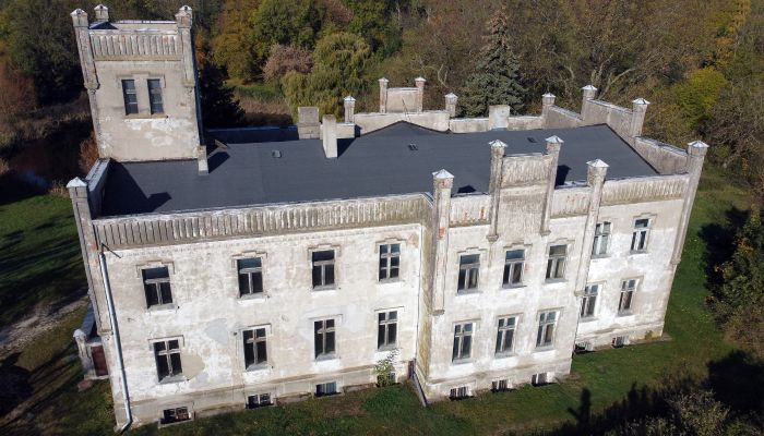 Schloss Górki Dąbskie 4