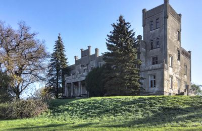 Schloss kaufen Górki Dąbskie, Pałac w Górkach Dąbskich, Kujawien-Pommern, Außenansicht