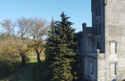 Schloss kaufen Górki Dąbskie, Pałac w Górkach Dąbskich, Kujawien-Pommern, Turm