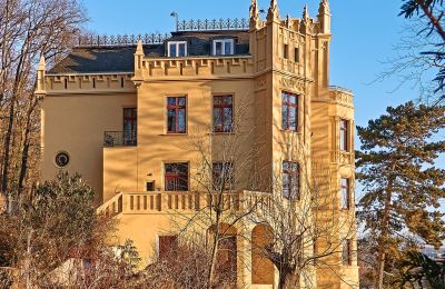 Historische Villa kaufen Gera, Thüringen, Außenansicht vom Süden