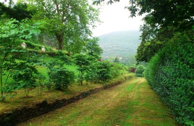 Historische Villa kaufen Castropol, Asturien, Foto 11/35