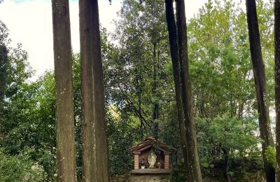 Kloster kaufen Pescia, Toskana, Foto 30/47