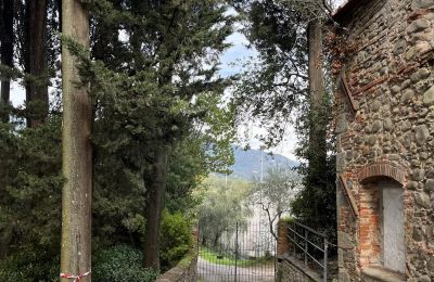 Kloster kaufen Pescia, Toskana, Foto 33/47