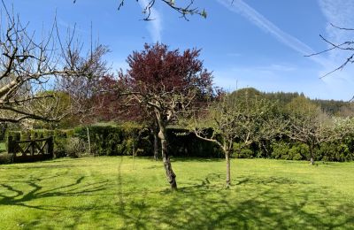 Bauernhaus kaufen Melide, Cabazás, Galizien, Garten