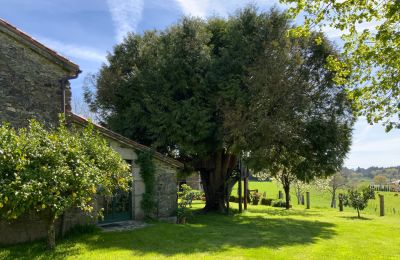 Bauernhaus kaufen Melide, Cabazás, Galizien, Terraza y jardín