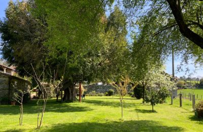 Bauernhaus kaufen Melide, Cabazás, Galizien, Garten