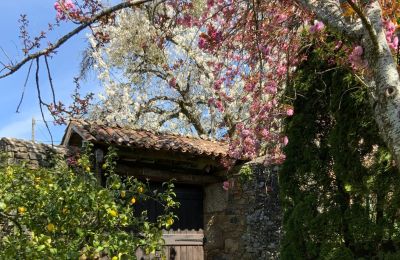 Bauernhaus kaufen Melide, Cabazás, Galizien, Kutscheneinfahrt