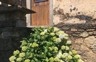 Bauernhaus kaufen Moeche, Sta Cruz de Moeche, Galizien, Detalle