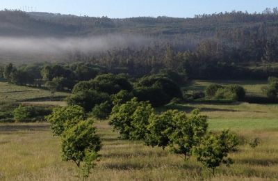 Bauernhaus kaufen Moeche, Sta Cruz de Moeche, Galizien, Lage der Immobilie