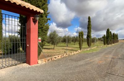 Bauernhaus kaufen Almagro, Almagro, Kastilien-La Mancha, Zufahrt