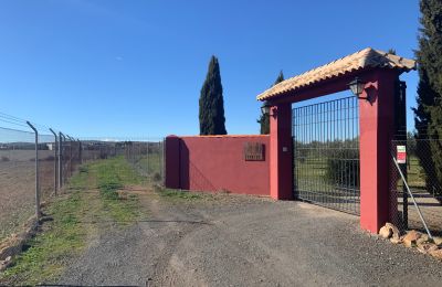 Bauernhaus kaufen Almagro, Almagro, Kastilien-La Mancha, Entrada