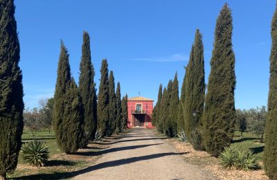 Bauernhaus kaufen Almagro, Almagro, Kastilien-La Mancha, Entrada arbolada con cipreses