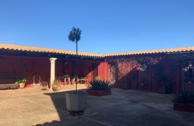 Bauernhaus kaufen Almagro, Almagro, Kastilien-La Mancha, Innenhof