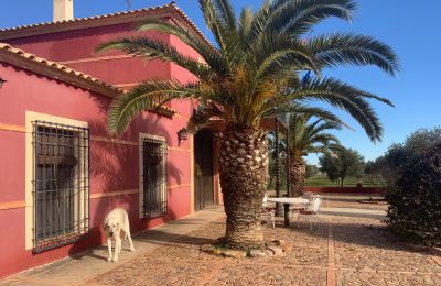 Bauernhaus kaufen Almagro, Almagro, Kastilien-La Mancha, Fachada