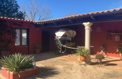 Bauernhaus kaufen Almagro, Almagro, Kastilien-La Mancha, Patio y carruaje