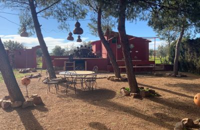 Bauernhaus kaufen Almagro, Almagro, Kastilien-La Mancha, Grundstück