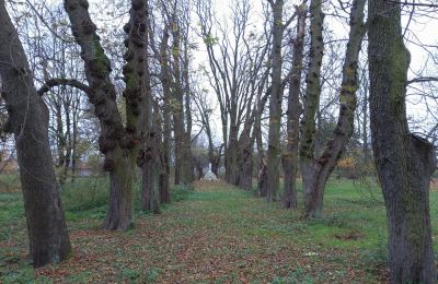 Schloss kaufen Karszew, Großpolen, Zufahrt