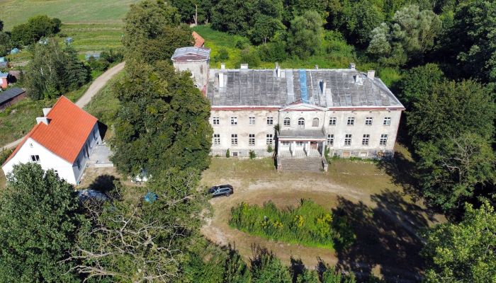 Schloss Nerwiki, Ermland-Masuren