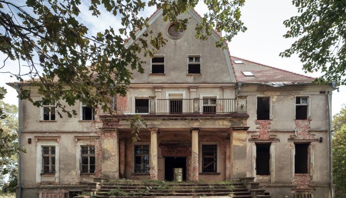 Schloss kaufen Wilków, Oppeln,  Polen